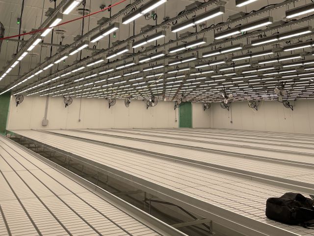 Cultivation Factories